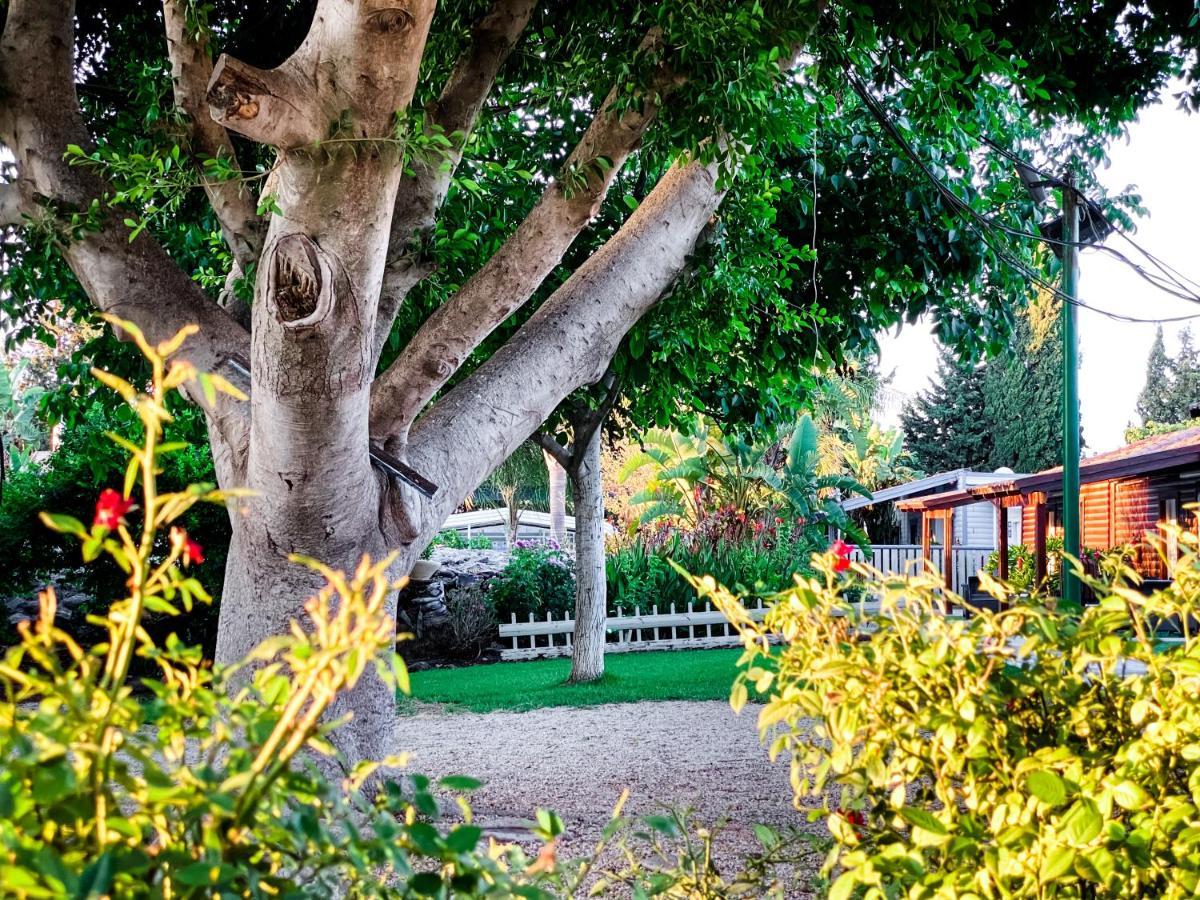 Hotel Etzel Tami Hospitality Neot Golan Zewnętrze zdjęcie